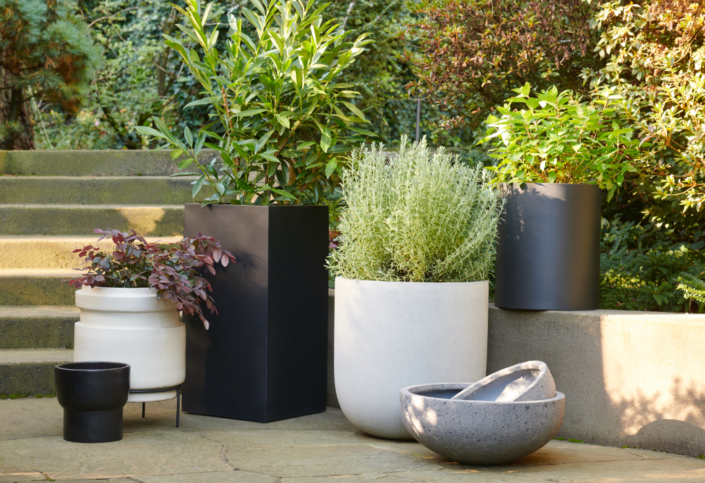 Ceramic Planter Pots